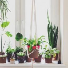 Un tirage pour faire vivre le printemps dans votre vie