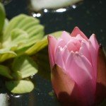 P1140212
