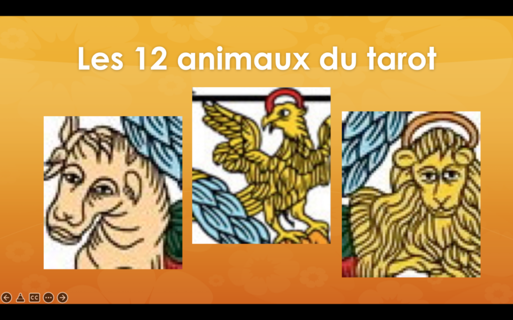 Les 12 animaux du tarot