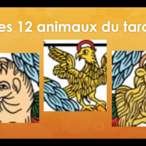 Les 12 animaux du Tarot